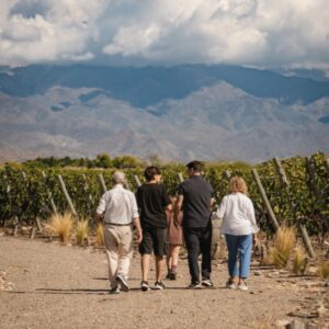 Selección de PADRES